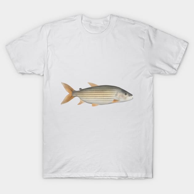 Tiger Fish T-Shirt by FishFolkArt